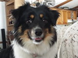 Molly at 15 months