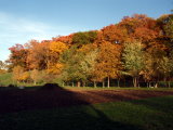 Fall