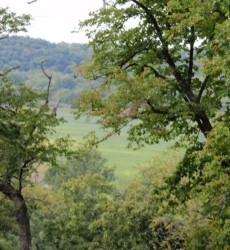 Rocky Creek Vally Farm