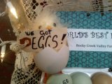 We've Got Eggs