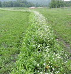 Rocky Creek Vally Farm