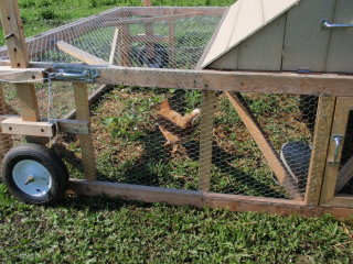 Chicken tractor  