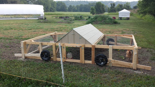 Finished chicken tractor