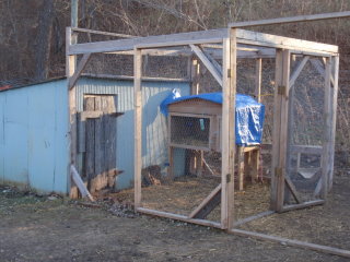 Chicken pen / Brooder house