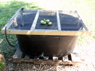 Recycled Water Vegetable Washer