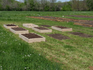 Raised Bed Gardens