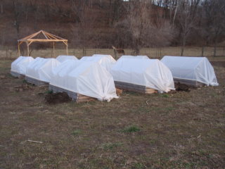 Raised Bed Gardens