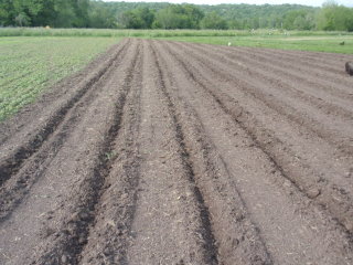 Row Plow